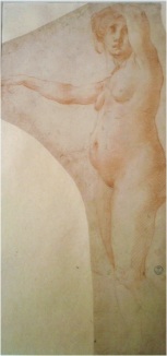 Rosso Fiorentino, Female Nude